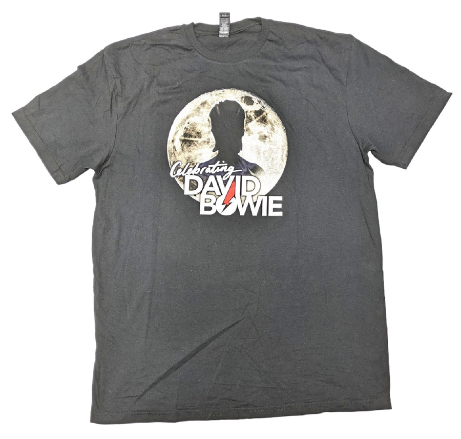 David Bowie T-Shirts 18 pcs 10 lbs D0131220-05 - Raghouse