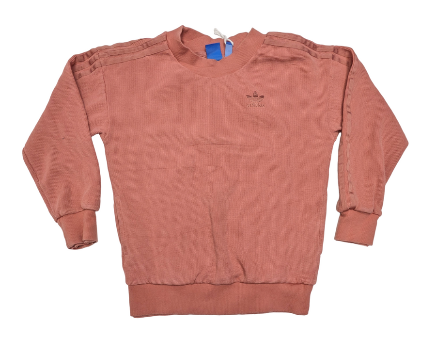 Recycle Brand Sweatshirts 27 pcs 35 lbs D0325220-23 - Raghouse