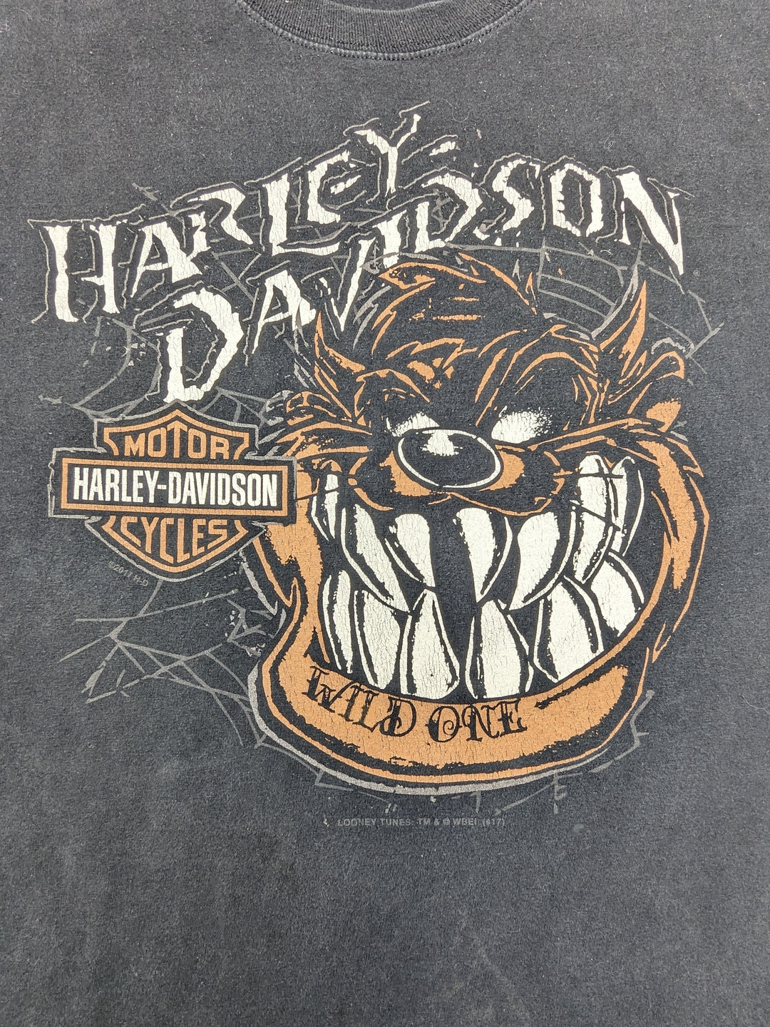 Harley Davidson T-Shirt 1 pc 1 lb C0124210 - Raghouse