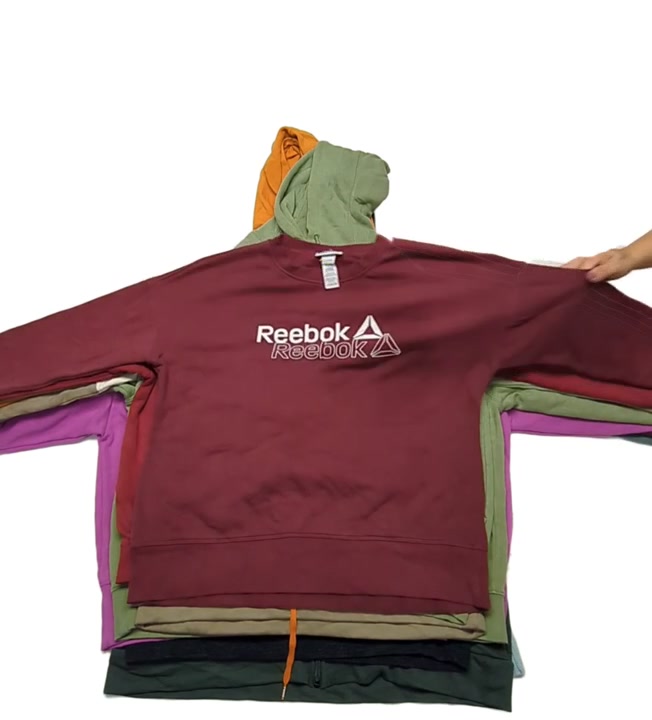 Araceli Pastel Recycle Nike Adidas Champion Reebok Puma Sweatshirts 17 pcs