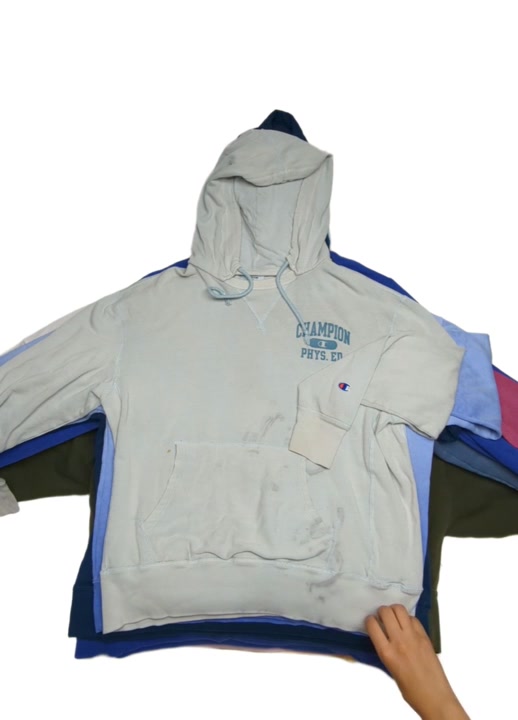 Araceli Pastel Recycle Nike Champion Reebok Sweatshirts 21 pcs