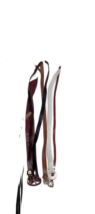 Belts Variety Mix 43 pcs