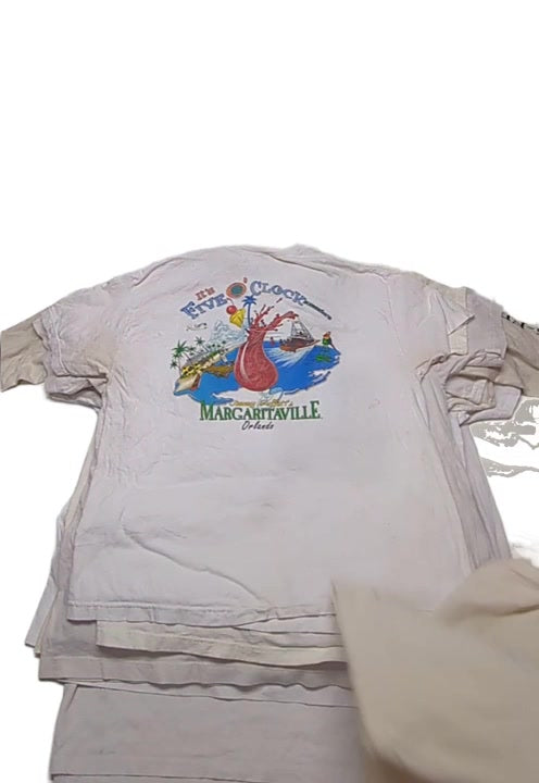 Christina Dirty White Graphic + Concert Tees 32 pcs