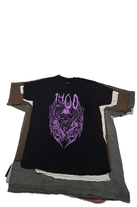 Graphic + Sports T-Shirts Unsorted 65 pcs
