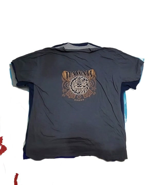 Hawaii T-Shirts 48 pcs