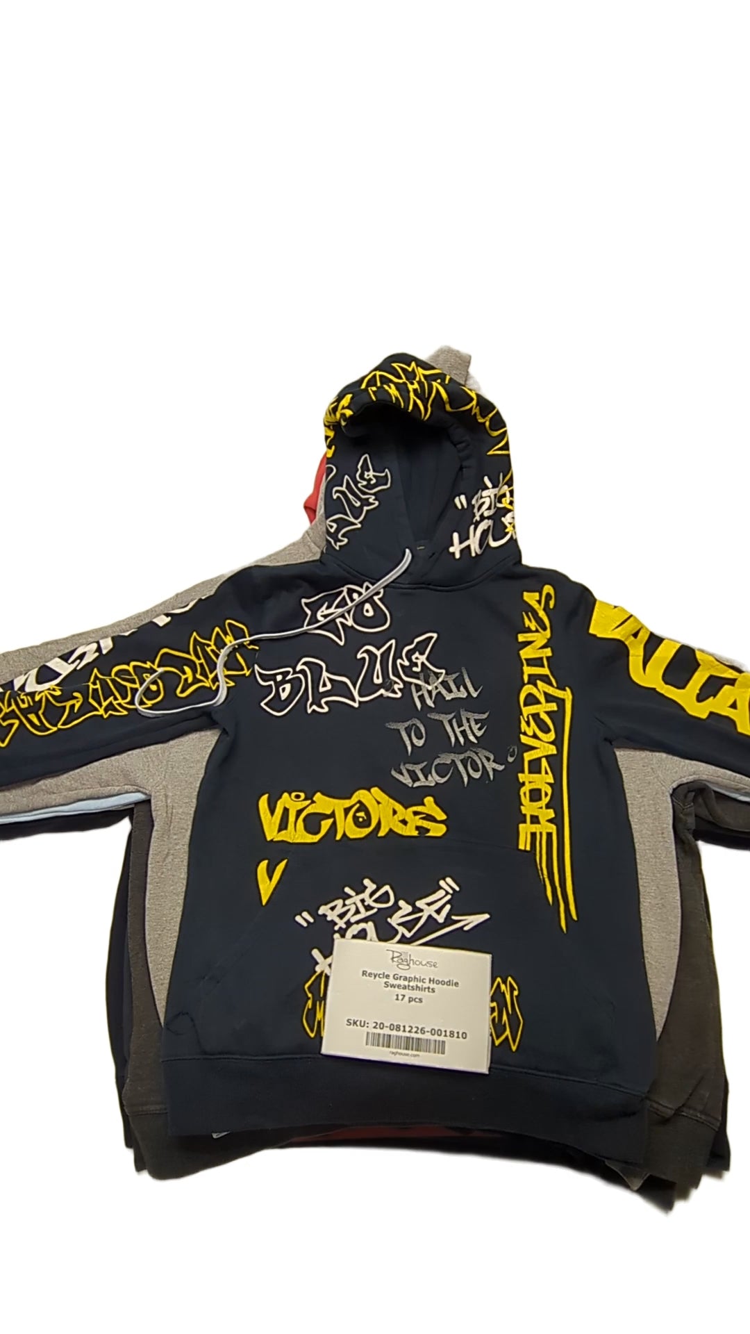 Reycle Graphic Hoodie Sweatshirts 17 pcs