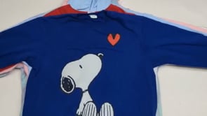 Disney & Friends Sweatshirts 23 pcs