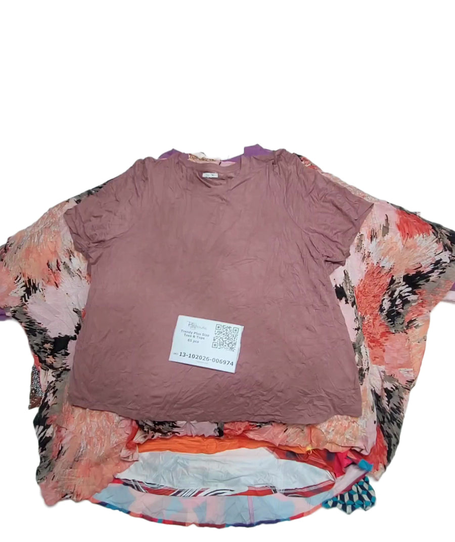 Trendy Plus Size Tees & Tops 65 pcs