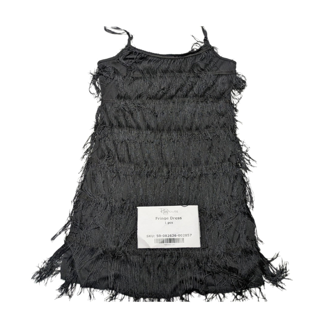 Fringe Dress 1 pc