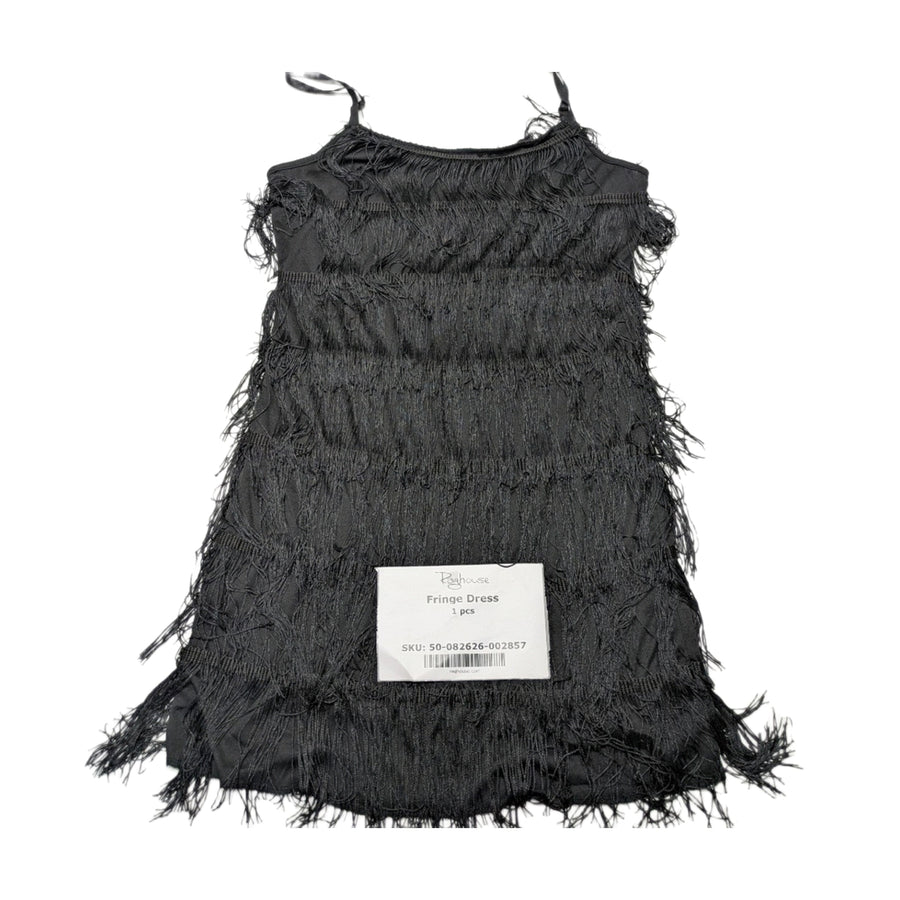 Fringe Dress 1 pc