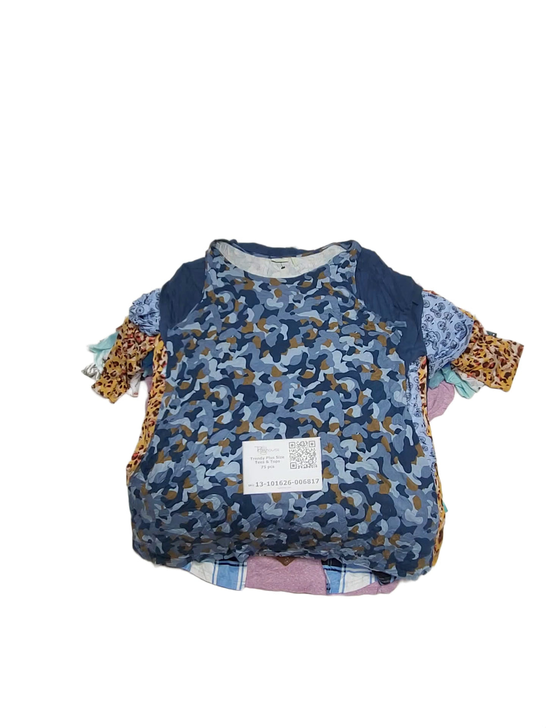 Trendy Plus Size Tees & Tops 75 pcs