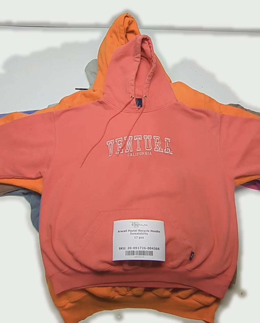 Araceli Pastel Recycle Hoodie Sweatshirts 17 pcs