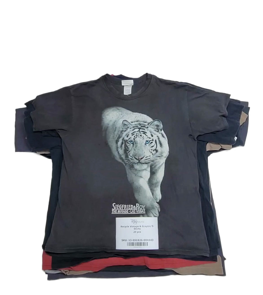 Recycle Vintage & Graphic T-Shirts 29 pcs