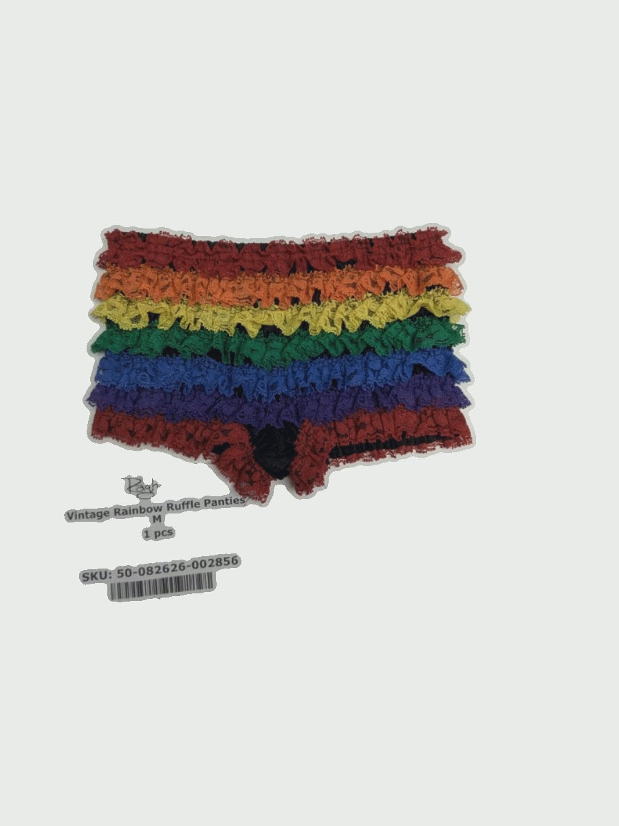 Vintage Rainbow Ruffle Panties M 1 pc