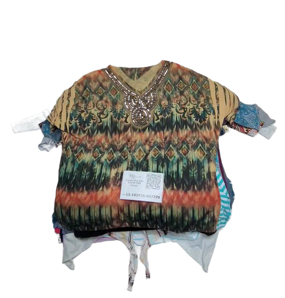 Trendy Plus Size Tees & Tops 76 pcs