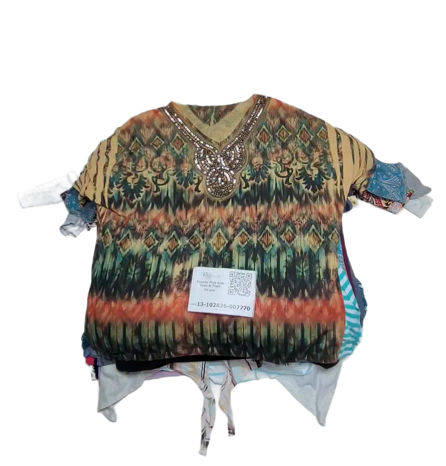 Trendy Plus Size Tees & Tops 76 pcs