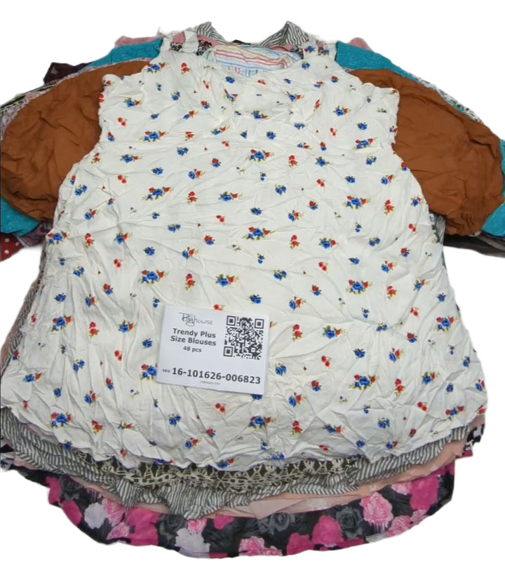 Trendy Plus Size Blouses 48 pcs