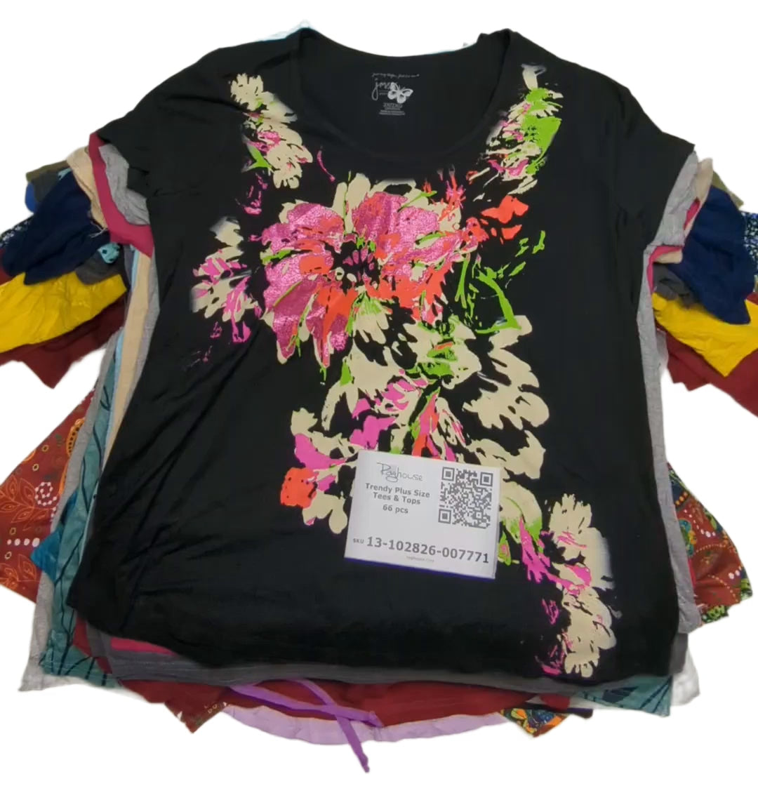 Trendy Plus Size Tees & Tops 66 pcs