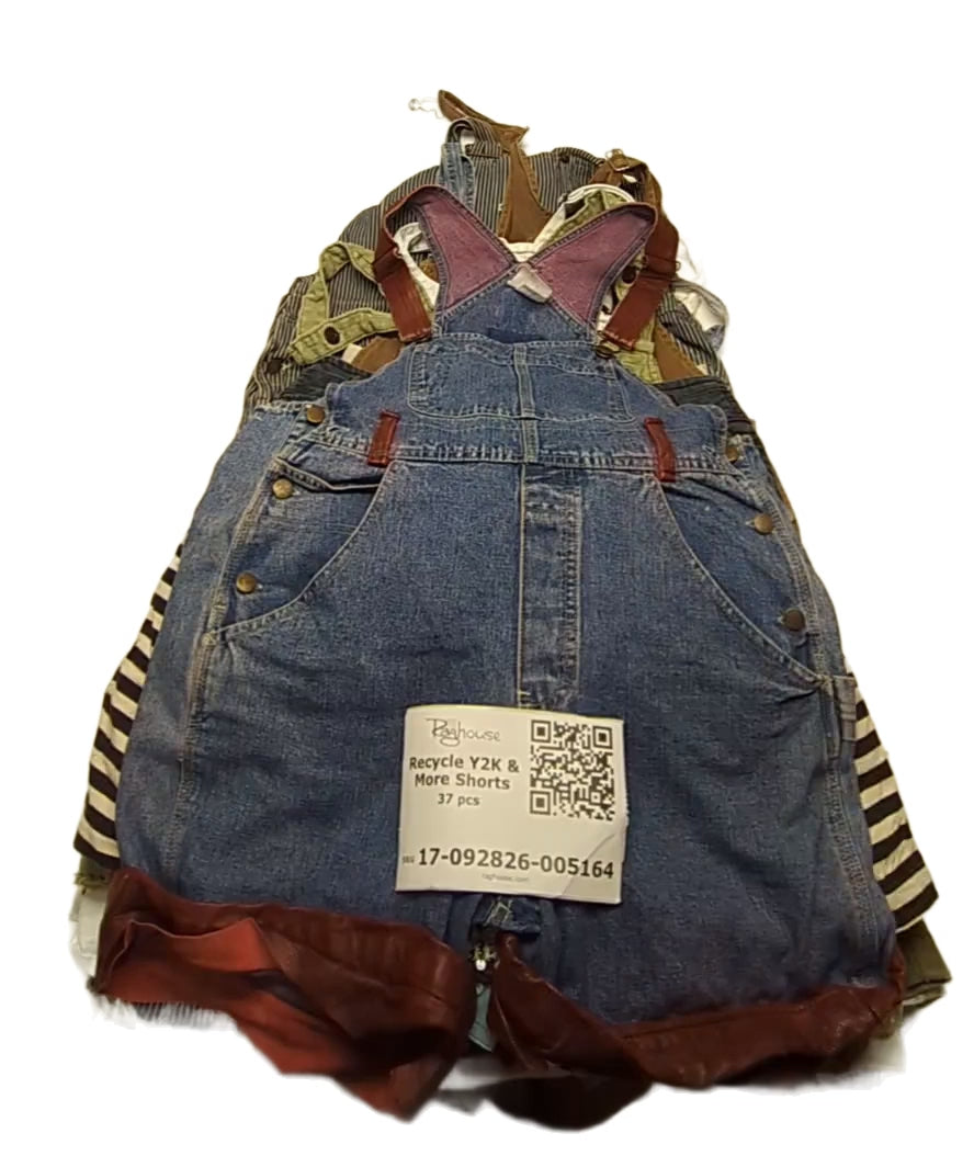 Recycle Y2K & More Shorts 37 pcs