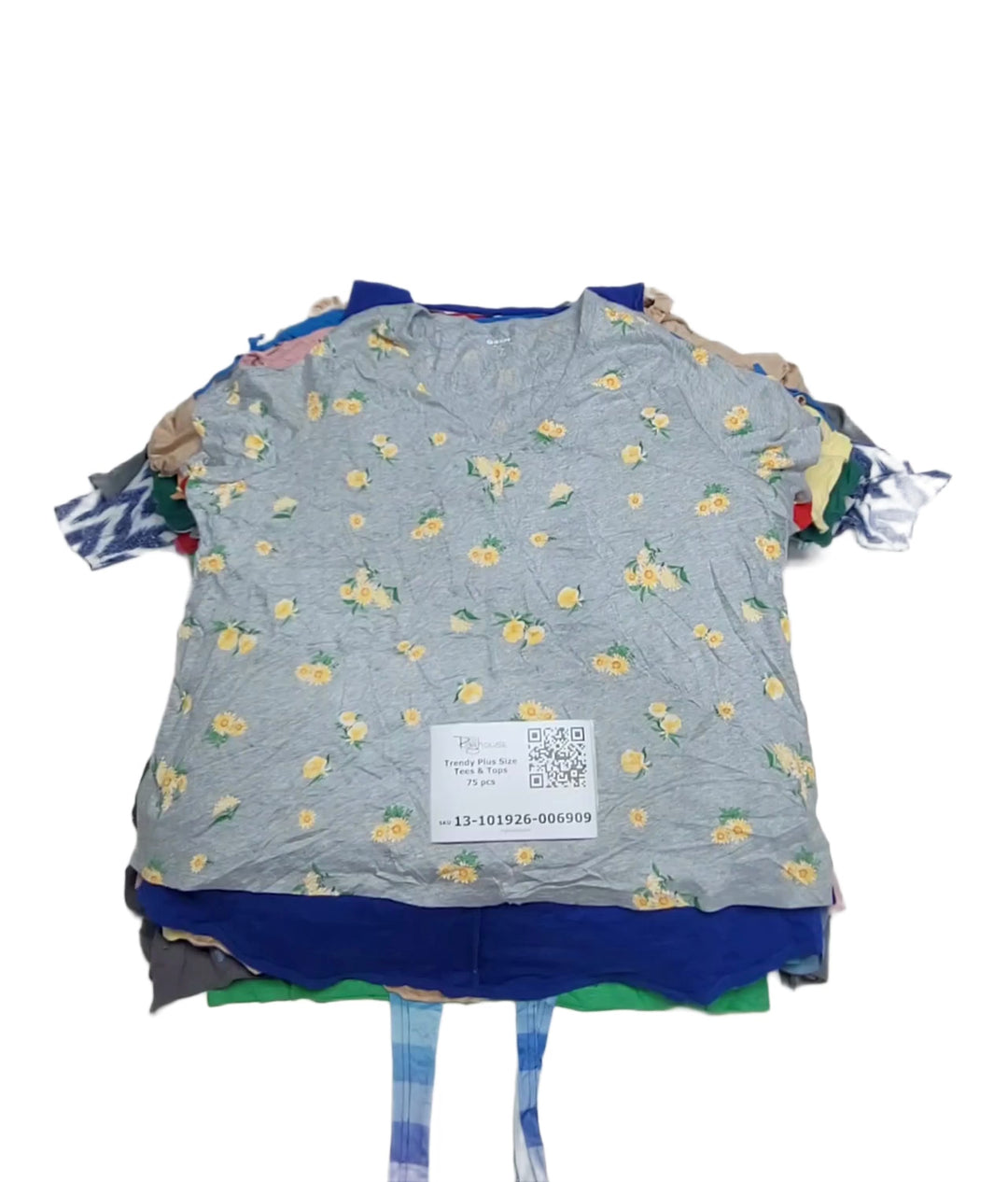 Trendy Plus Size Tees & Tops 75 pcs