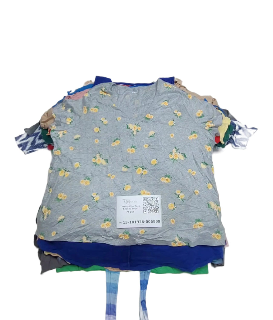 Trendy Plus Size Tees & Tops 75 pcs