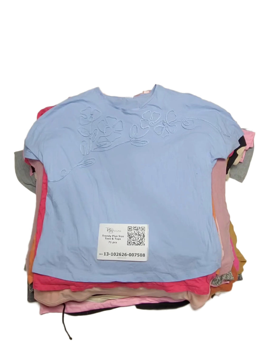 Trendy Plus Size Tees & Tops 71 pcs