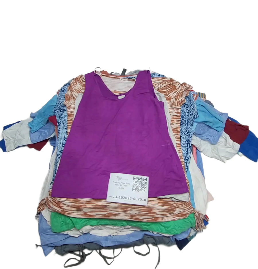 Trendy Plus Size Tees & Tops 75 pcs