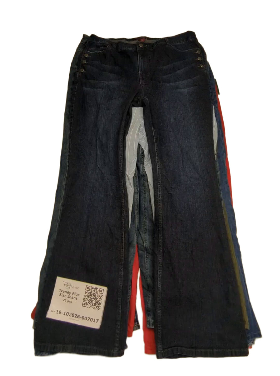Trendy Plus Size Jeans 23 pcs