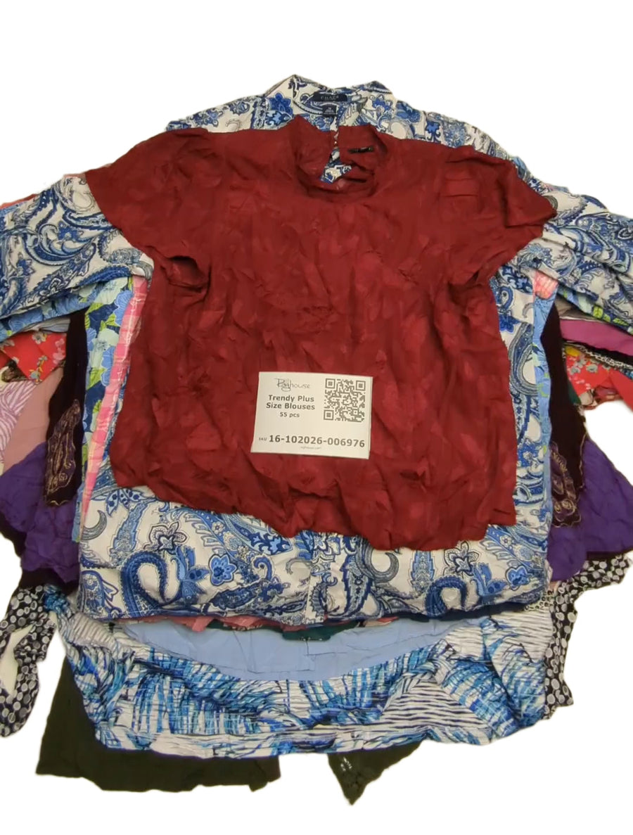Trendy Plus Size Blouses 55 pcs