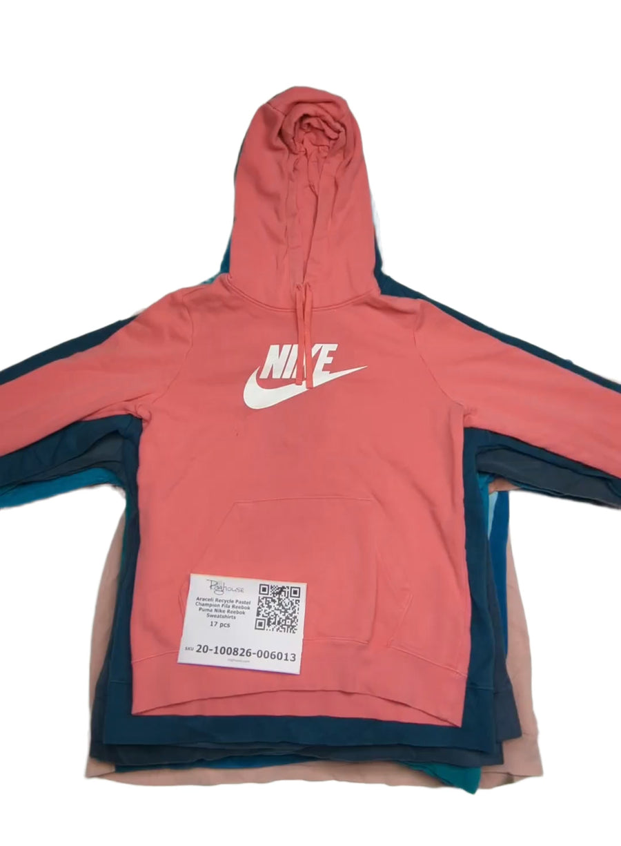 Araceli Recycle Pastel Champion Fila Reebok Puma Nike Reebok Sweatshirts 17 pcs