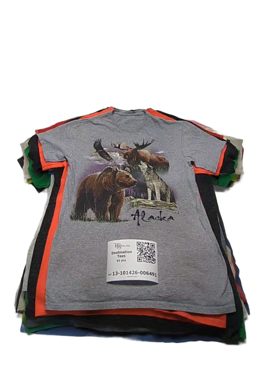 Destination Tees 61 pcs