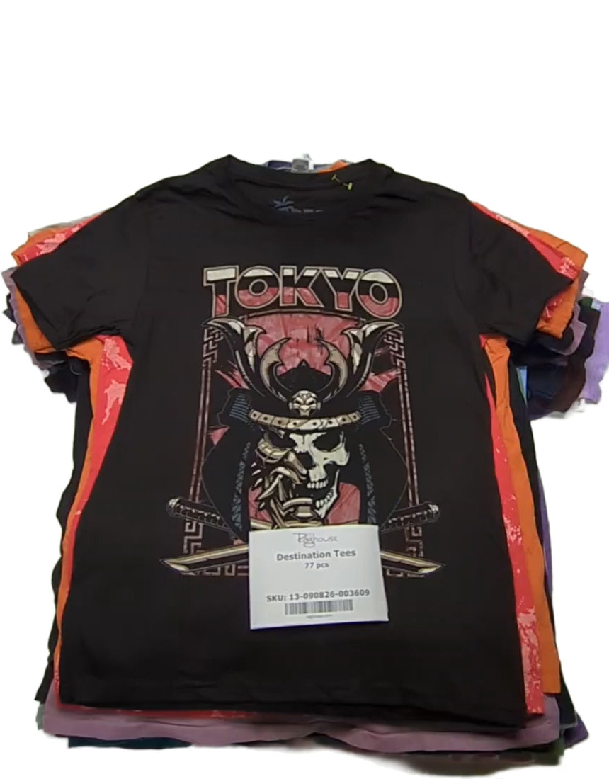 Destination Tees 77 pcs