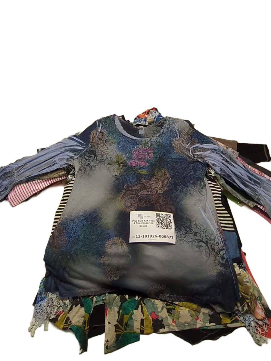 Plus Size Y2K Tees & Tops Unsorted 53 pcs