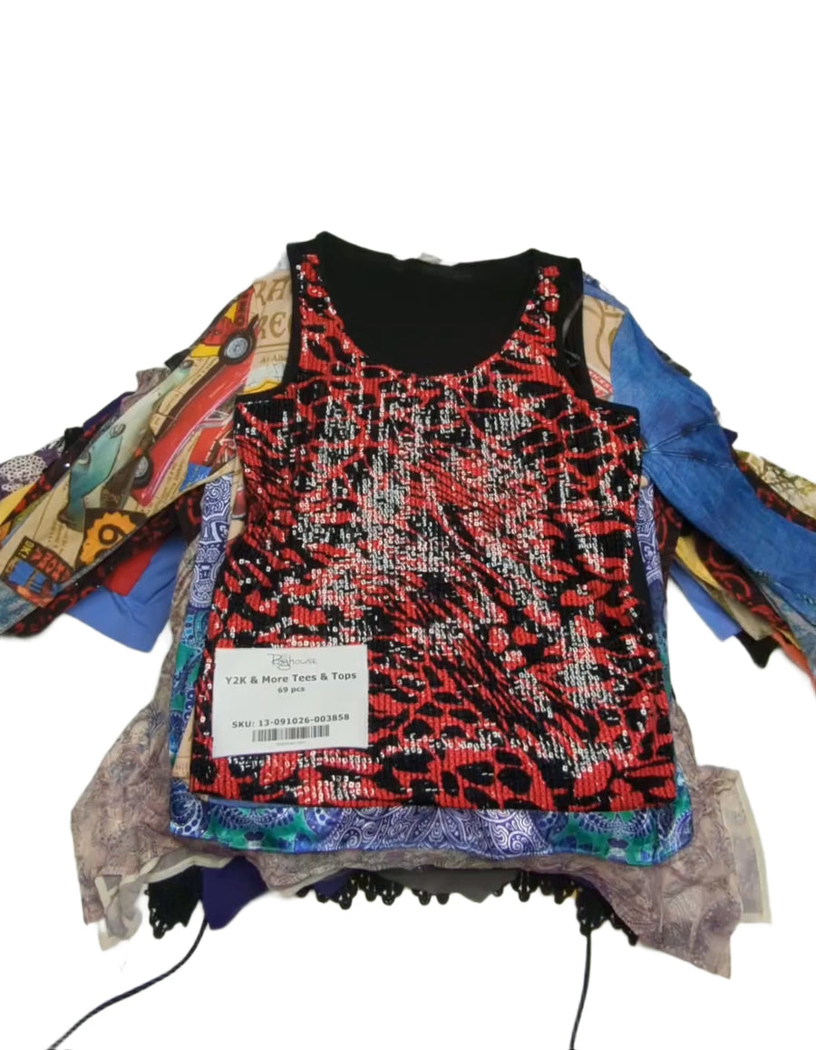 Y2K & More Tees & Tops 69 pcs