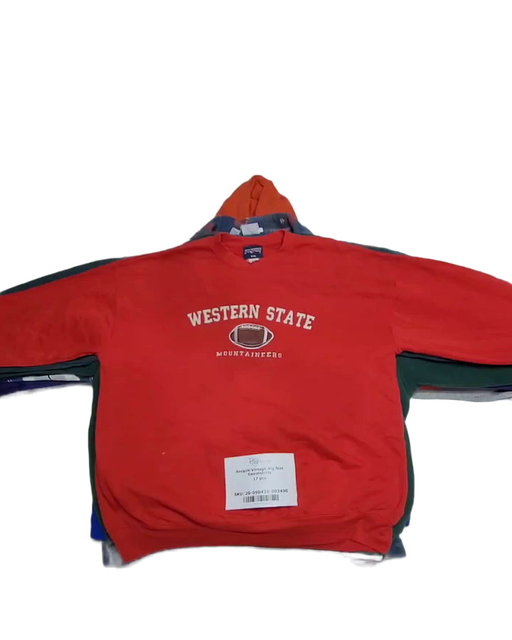 Recycle Vintage Big Size Sweatshirts 17 pcs