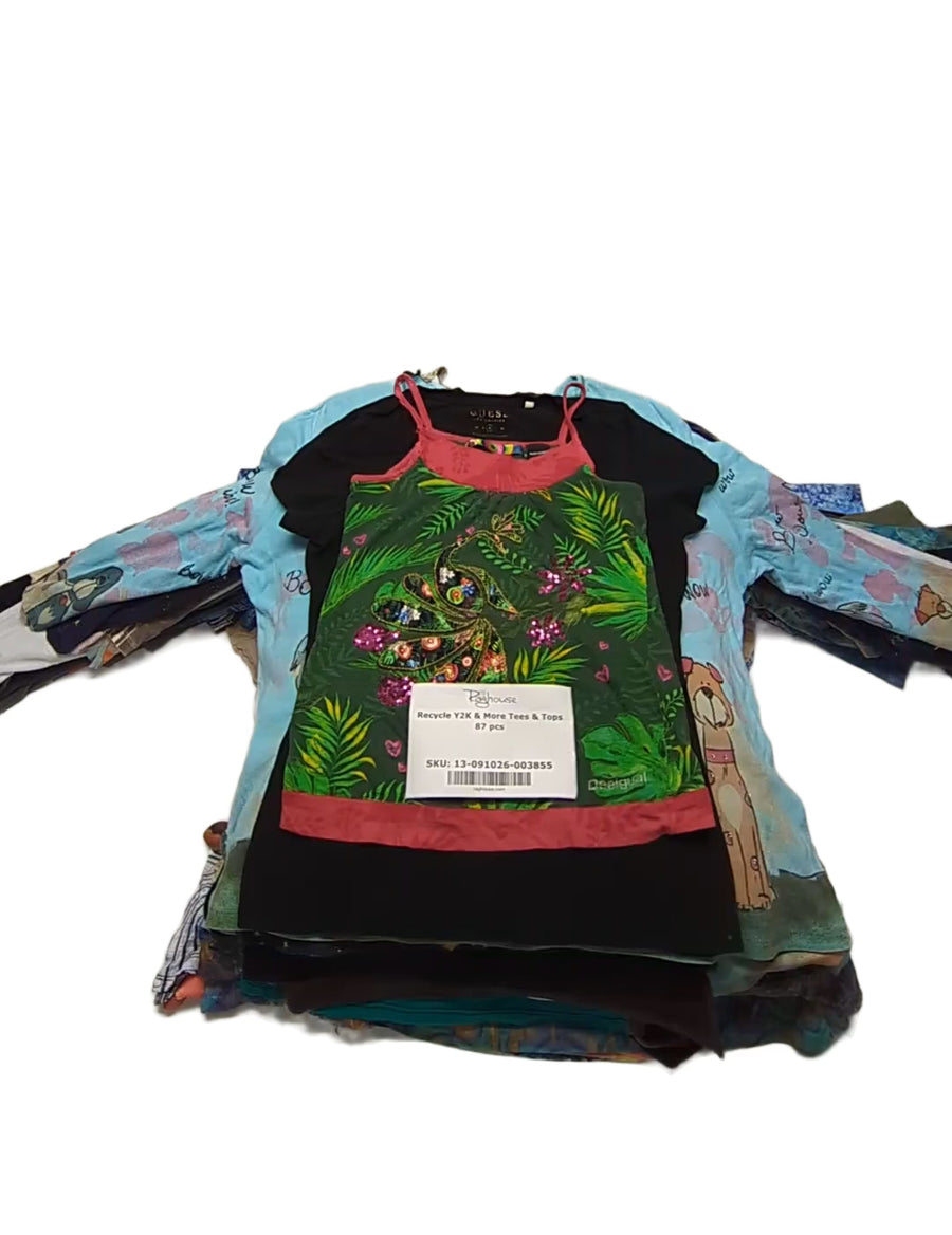 Recycle Y2K & More Tees & Tops 87 pcs