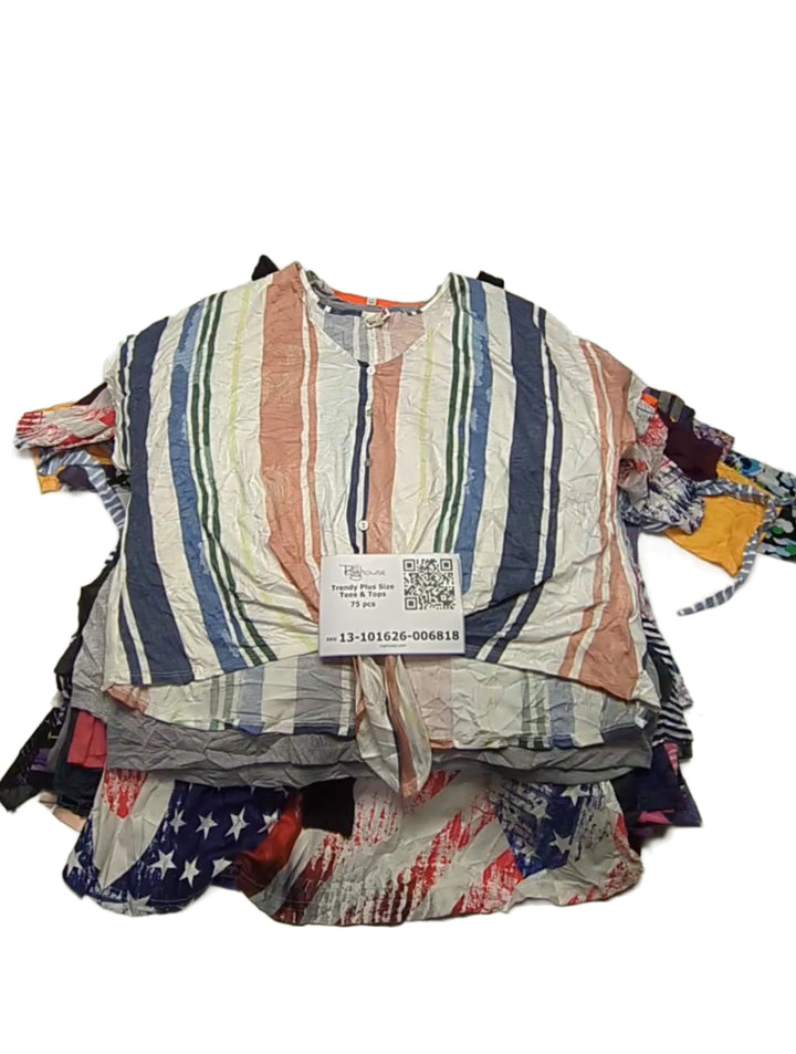 Trendy Plus Size Tees & Tops 75 pcs