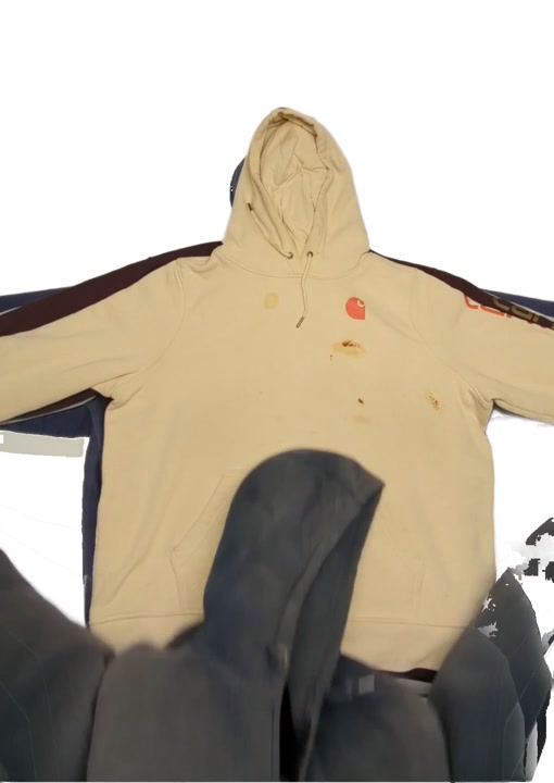 Recycle Carhartt Sweatshirts 10 pcs