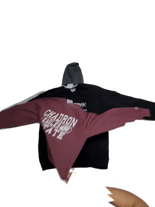 Recycle Champion Sports Sweatshirts 16 pcs
