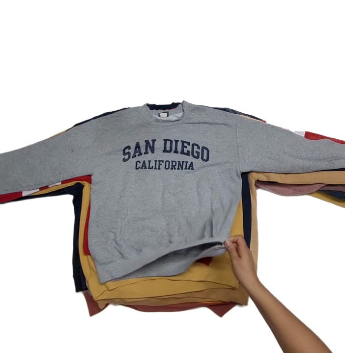 Recycle Destination Sweatshirts 19 pcs