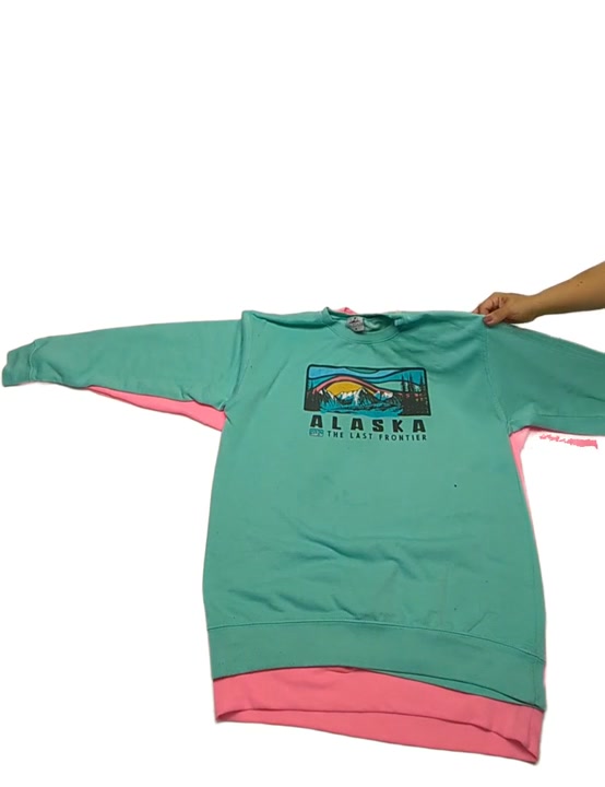 Recycle Destination Sweatshirts 19 pcs