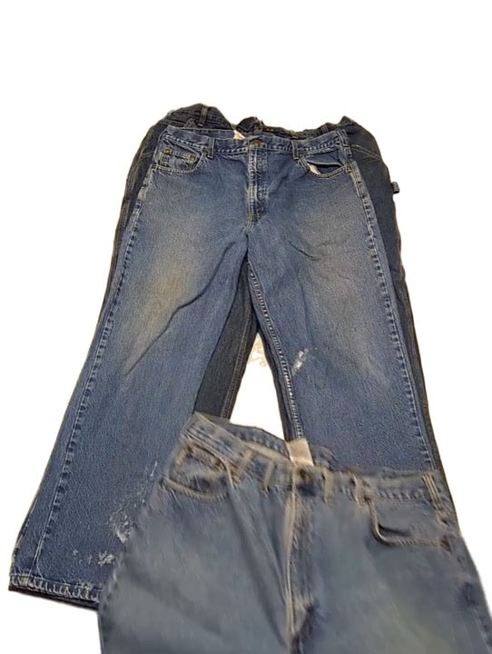 Recycle & Good Plus Size Carhartt Jeans 14 pcs