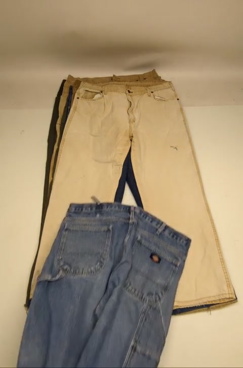 Recycle & Good Plus Size Dickies Pants & Jeans 14 pcs
