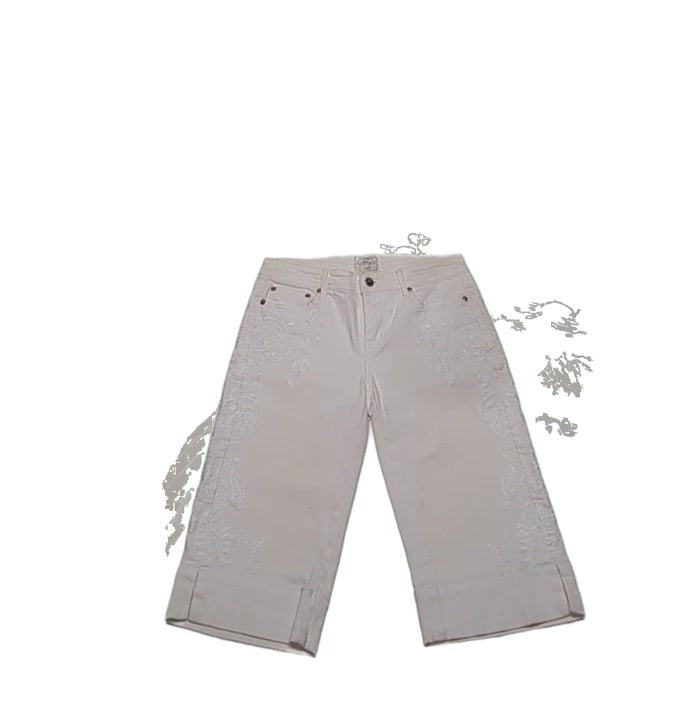 Recycle Y2K & More Shorts 32 pcs