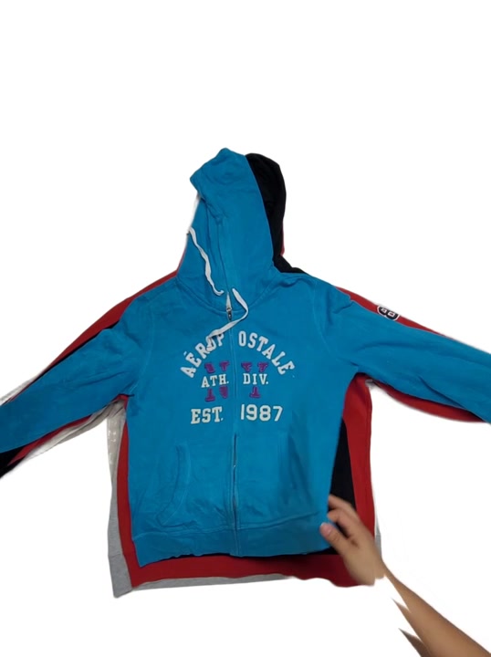 Recycle Y2K Style Abercrombie Hollister American Eagle Aeropostale Sweatshirts 19 pcs